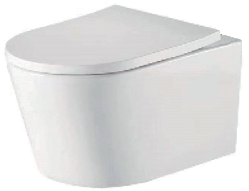 Ferrara Plus Wall Hung Rimless BTW D Shape Pan Seat & Fittings - product image 2