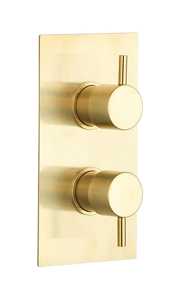 Round Concealed Thermostatic 2 Handle 2 Way Shower Valve - Brushed Brass - product image 2