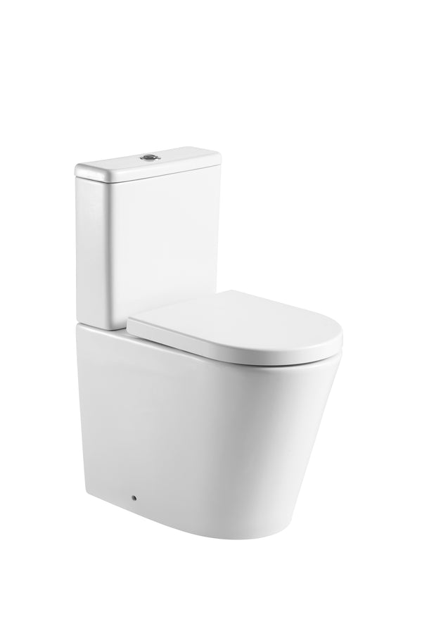 Ferrara Rimless Comfort Height D Shape Pan, Seat & Fittings - product image 4