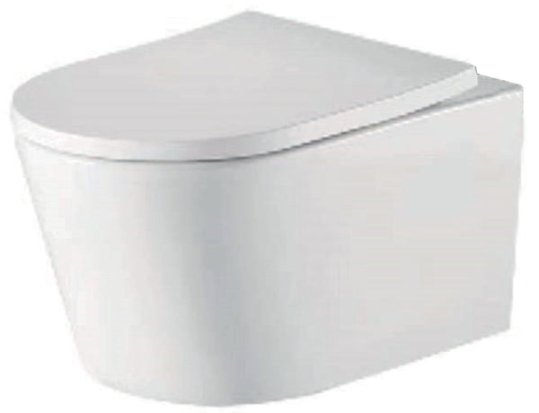 Ferrara Plus Wall Hung Rimless BTW D Shape Pan Seat & Fittings - product image 2